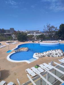 帕莱索海滩Olga Paraiso del Sur的一个带躺椅的游泳池和一个游泳池