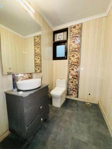 新德里Hotel Airport Stay - Near Terminal 3的一间带水槽和卫生间的浴室