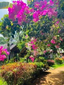 AmpangorinanaTamarin Lodge的花园里的一束粉红色的花