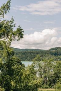 格门德蒂格斯Blyb Hotel的享有森林湖景
