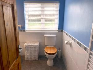 LlanllwchaiarnCaerhafod Nanternis的一间带卫生间和木座椅的浴室