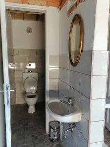布莱德Nomads House的一间带水槽和卫生间的浴室