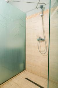 SocolariCasa Thea Cheile Nerei的浴室里设有玻璃门淋浴