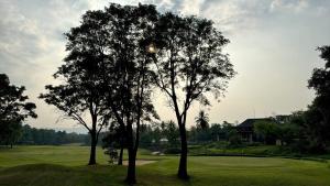Ban Tha ChangKhaoyai Kirimaya Atta Residence 5 BR Villa的高尔夫球场前两棵树