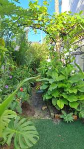 巴特沃思Relax House Raja Uda Butterworth 田园小屋的种植了大量绿色植物的花园