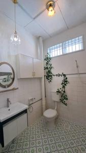 巴特沃思Relax House Raja Uda Butterworth 田园小屋的一间带卫生间、水槽和植物的浴室