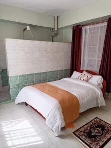 内罗毕Sislink Suites的一间卧室设有一张大床和窗户