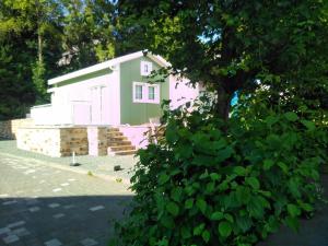 巴特马林贝格Ferienhaus in Bad Marienberg Westerwald mit Terrasse und Grill的一座小粉色的绿色房子,有树