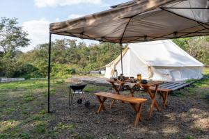 美作Glamchette Okayama -Glamping & Auto Camp- - Vacation STAY 19593v的帐篷下的野餐桌和烧烤架