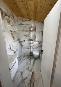 斯库台Qyteza Guest House & Camping的一间带大理石墙壁、卫生间和水槽的浴室