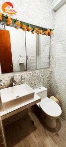 塔克纳NatAle Residencial - Departamento Primer Piso con cochera的一间带水槽、卫生间和镜子的浴室