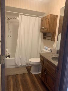 乔普林Whiteshomesplus的浴室配有白色的浴帘和卫生间