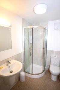 惠特比福格旅馆的带淋浴、盥洗盆和卫生间的浴室