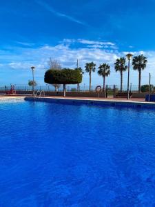 克尤伯厄拉斯Apartamento La Sal Cubelles的一个种有棕榈树的大型蓝色游泳池