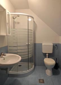 布莱德Apartmaji Pri Kokolu的带淋浴、卫生间和盥洗盆的浴室
