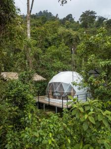 图里亚尔瓦Hotel Rivel - Restaurant & Nature Retreat的森林中央的圆顶帐篷