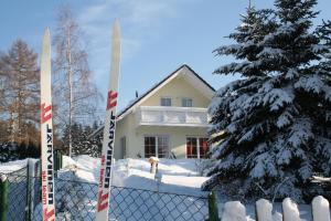 BeerheideFerienhaus Vogtlandresidenz的狗站在房子前面的雪地里