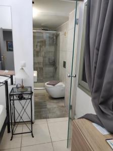 干尼亚Porto Chania的一间带卫生间和玻璃淋浴间的浴室