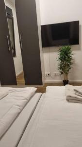 斯图加特Brandneues Stadtglanz Apartment的一间卧室配有两张床和一台平面电视