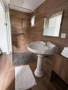 马赛Maison entièrement Neuve的一间带水槽、淋浴和镜子的浴室