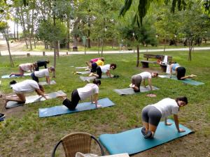 切尔维亚La Villa的一群人在公园里做瑜伽