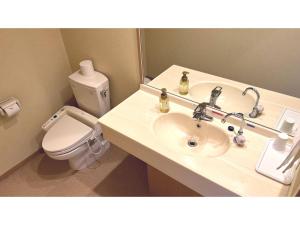 音更町Hotel Hounomai Otofuke - Vacation STAY 29452v的一间带水槽和卫生间的浴室