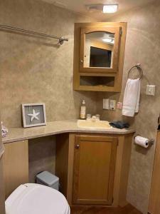 迈阿密WARM AND COZY RV 3的一间带卫生间、水槽和镜子的浴室