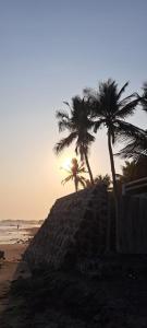 拉利伯塔德Keona Beach的海滩上一群棕榈树,日落