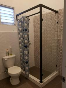 圣多明各Hostel Gato Colonial的一间带卫生间和淋浴帘的浴室