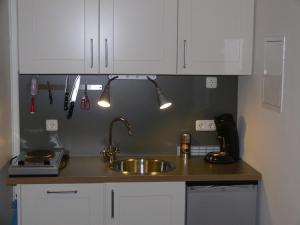 威斯巴登班霍夫大街商务公寓的厨房柜台配有水槽和白色橱柜