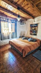 巴雷阿尔Aire de Barreal Hostel Andino的一间卧室,卧室内配有一张大床