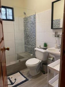 拉罗马纳Gloria’s Cozy Apartment的浴室配有卫生间、淋浴和盥洗盆。