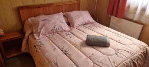 瓦尔迪维亚Hostal Prat II的一张带粉红色棉被的床和枕头