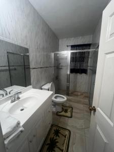 BoscobelHellshire Heights的一间带水槽、淋浴和卫生间的浴室