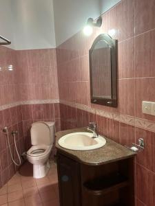 尼甘布Village Inn Resort的一间带卫生间、水槽和镜子的浴室