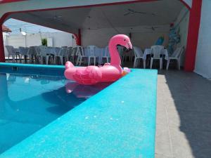 夸察夸尔科斯alberca Blass的游泳池边的粉红色充气粉红色火烈鸟