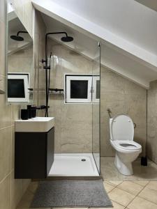维尔Apartmani Ivano的一间带卫生间和玻璃淋浴间的浴室