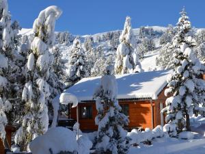 图拉彻霍赫Sunlit Cabin with Jacuzzi in Turracherhohe的雪中小屋,有雪覆盖的树木