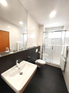 布拉格艾维酒店的一间带水槽、卫生间和淋浴的浴室