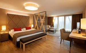 泰哈姆山麓弗拉德尼茨皮尔康体酒店的酒店客房设有一张大床和一张书桌。