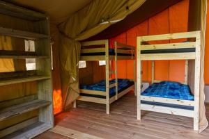 伊皮Safaritent op groen en kindvriendelijk park op de Veluwe的帐篷内带两张双层床的客房