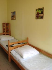 德兹维济诺Ośrodek Wczasowy Akacja的一间设有两张双层床的客房