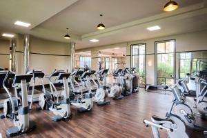 堪培拉堪培拉凯悦酒店 - 柏悦酒店的拥有一排跑步机和椭圆机的健身房