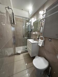 沙托贝尔纳尔Logis Le Passiflore Cognac的带淋浴、卫生间和盥洗盆的浴室