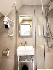 巴黎佐拉酒店的一间带水槽和淋浴的浴室