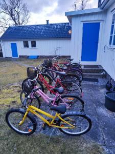 HaverdalHaverdal Villa och sommarstuga的停在大楼前的一排自行车