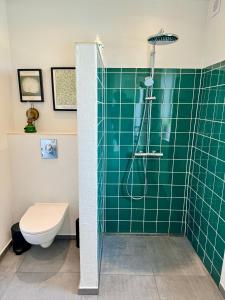 埃贝尔托夫特Ellens Have, Lejlighed Asta的浴室设有绿色瓷砖淋浴和卫生间