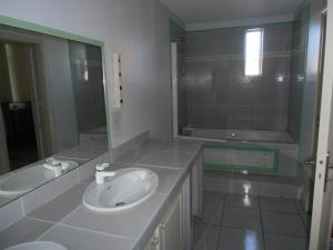Grenade-sur-lʼAdourStudio de Tourisme Tilleuls的一间带水槽和镜子的浴室