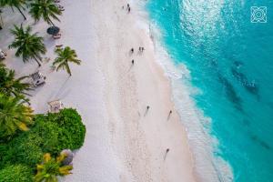 肯杜瓦Zuri Zanzibar的享有棕榈树海滩和大海的上方景色