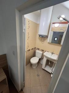 索非亚En-Suite Rooms: Novа Guesthouse in Sofia Center的一间带卫生间和水槽的浴室